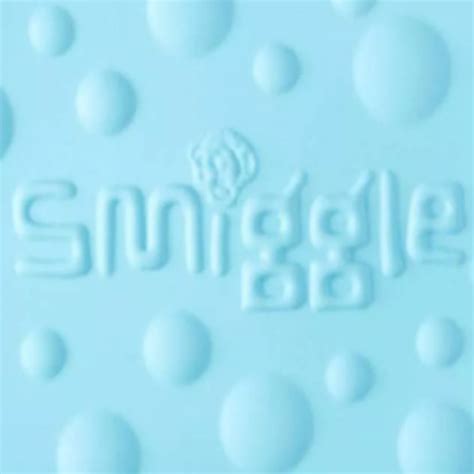 DEFECT SMIGGLE Bubble Hardtop Pencil Case Blue Rose S Treats