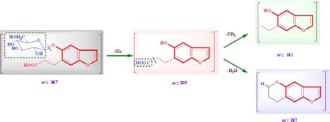 Proposed Fragmentation Pathways Of Compound 1 Download Scientific