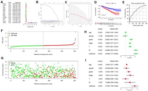 Construction Of A Prognostic Mrg Signature Based On Tcga Kirc Cohort