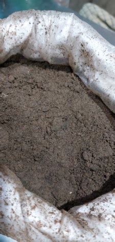 Cow Dung Powder For Agriculture Purity At Rs Kilogram In