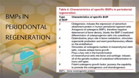 Bone Morphogenetic Proteins Role In Periodontal Regeneration Ppt