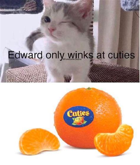 You Are A Cutie Memes