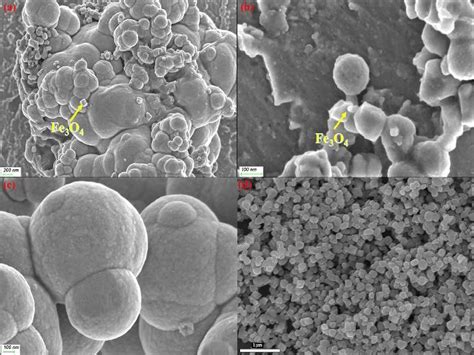 (a) -(d) composite powder scanning electron micrograph with reaction ... 