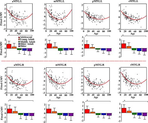 Frontiers Structural And Functional Trajectories Of Middle Temporal