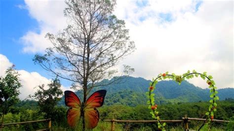 Keindahan Bukit Kali Kuning Wisata Lereng Gunung Merapi