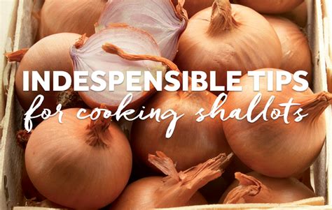 Indespensible Tips For Cooking Shallots Vegetarian Cooking Blog Veggie