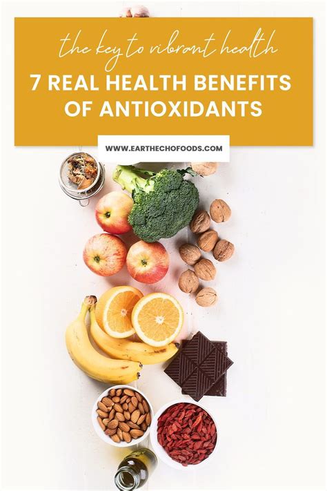 You Know Antioxidants Are Important But Do You Know Why Check Out