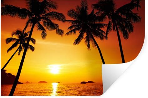 Muurstickers Sticker Folie Palmboom Zonsondergang Strand