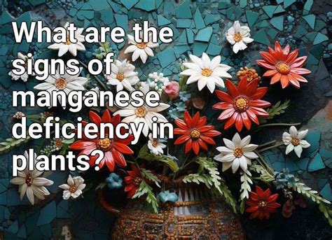 What Are The Signs Of Manganese Deficiency In Plants Gardeninggovcapital