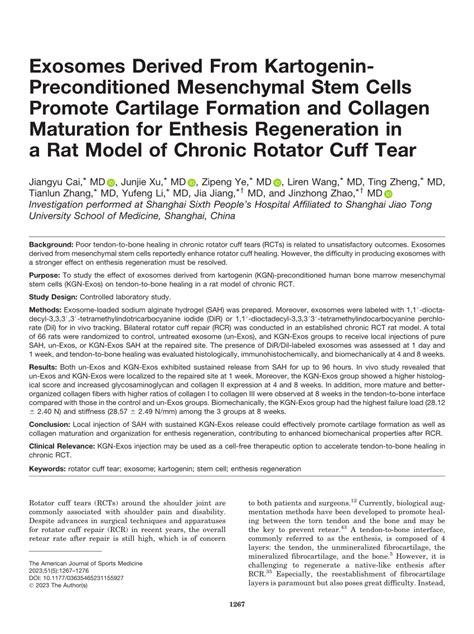 Pdf Exosomes Derived From Kartogenin Preconditioned Mesenchymal Stem