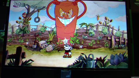 Cuphead Gameplay Kummass