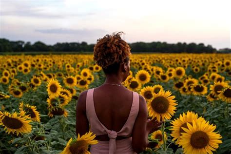 Sunflower Fields Photoshoot | Flower photoshoot, Photoshoot themes ...