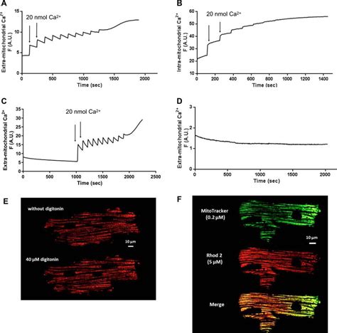 A Modified Calcium Retention Capacity Assay Clarifies The Roles Of