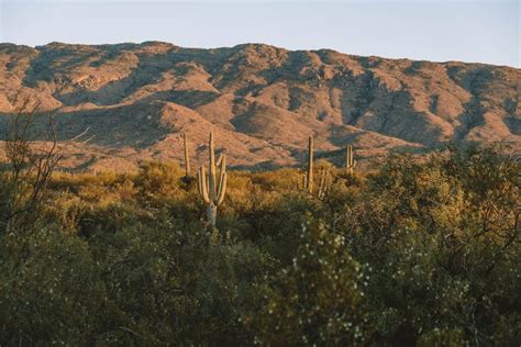 11 Best Tucson Hiking Trails