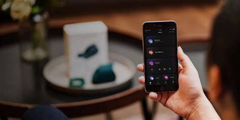 Lovense Bluetooth Sex Toys History Of Innovative Sex Tech