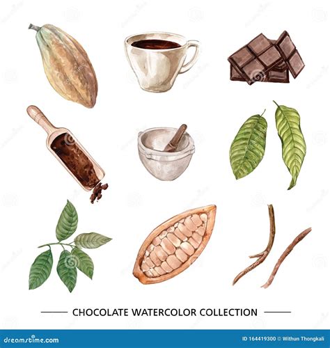 Set Of Watercolor Design Chocolate Illustration Of On White Background