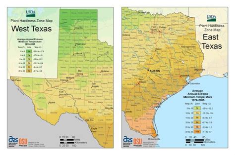 Texas USDA Plant Hardiness Zone Map - Ray Garden Day