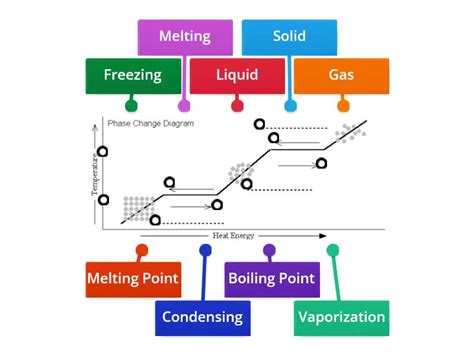 Phase Change Diagram - Labelled diagram