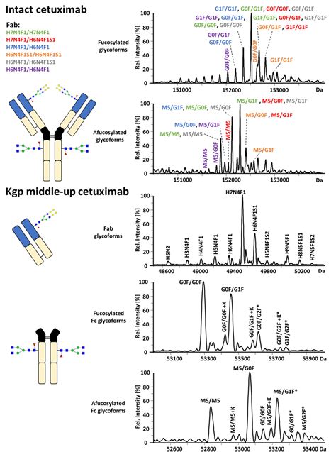 Figure 5 from Proteoform Resolved FcɤRIIIa Binding Assay for Fab