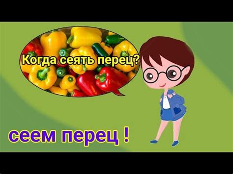КОГДА МОЖНО СЕЯТЬ ПЕРЕЦ. Всё о сроках посева перца🫑. - YouTube