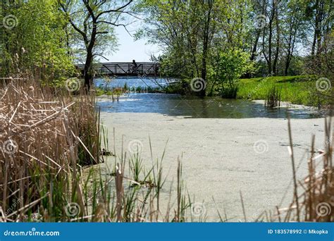 Clifton French Regional Park In Plymouth Minnesota With Bikers Biking