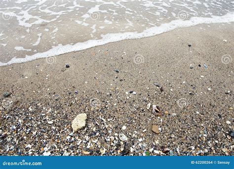 Onda Do Mar Areia Seixos E Conchas Do Mar Foto De Stock Imagem De