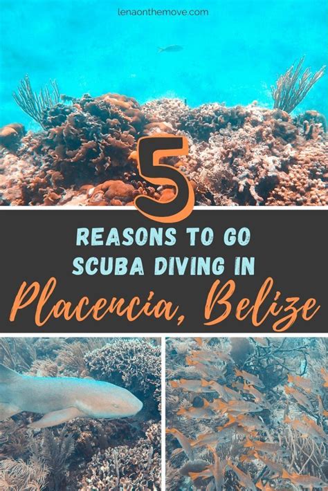 Reasons Why You Should Add Belizes Placencia To Your Scuba Diving