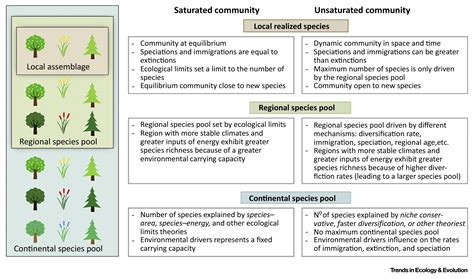 Biodiversity Models What If Unsaturation Is The Rule Trends In