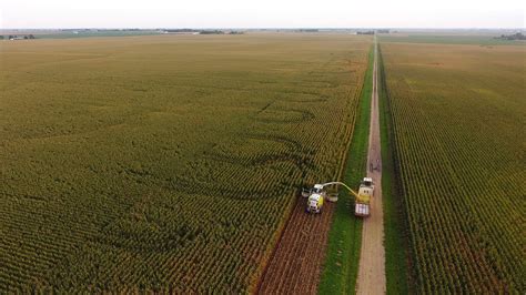 Getting Ready for Corn Silage Harvest – Extension Richland County