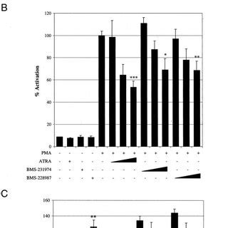 Effects Of Retinoids And Taxol On The JNK Pathway And AP1 Activity A