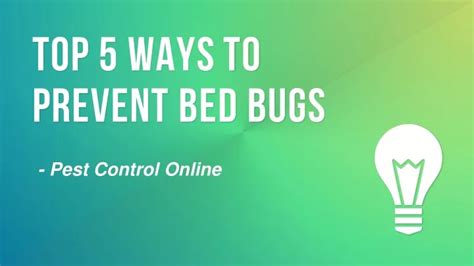 Ppt Top 5 Ways To Prevent Bed Bugs Powerpoint Presentation Free Download Id10622154