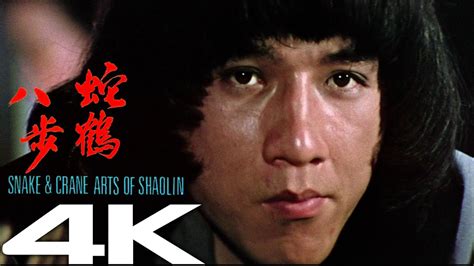 Jackie Chan Snake And Crane Arts Of Shaolin 1978 In 4K