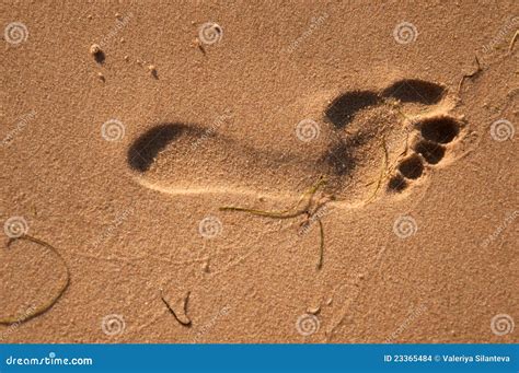 Empreinte De Pas Photo Stock Image Du Sable Plage Ombre