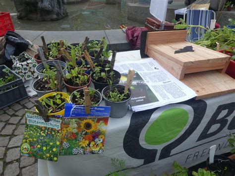 Der Frühling naht Pflanzen ziehen für Garten und Balkon