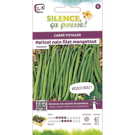 Semences De Haricot Vert Nain Filet Mangetout Crockett 8g Bricorama