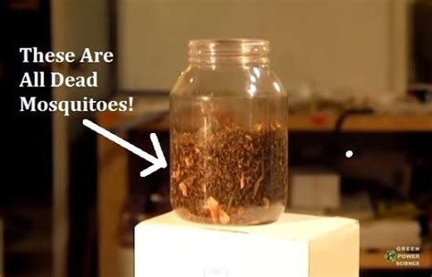 How To Make An Easy Mosquito Trap Catch S Of Mosquitoes Every