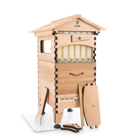 8 Best Bee Hive Starter Kits To Get In 2023 Complete Beehives