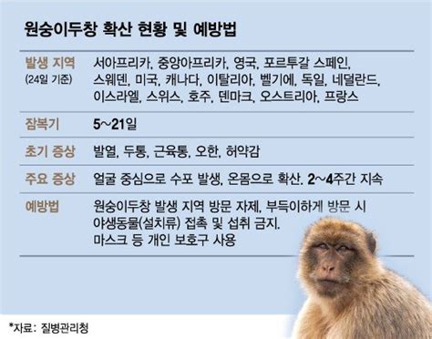 4주간 온몸에 수포 원숭이두창 백신 안 맞힌다는 정부 이유는 Qanda 머니투데이