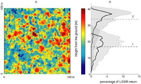 Lidar Derived Mean Profile Canopy Height An Example Of The Differences Download Scientific