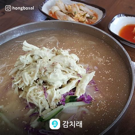 여름국수 끝판왕 초계국수 맛집 5선 다이닝코드