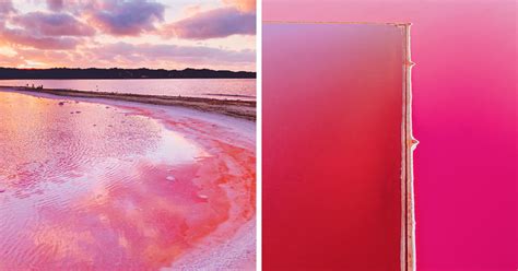 I Captured The Magic Of Pink Lagoon In Western Australia (20 Pics) - Pedfire