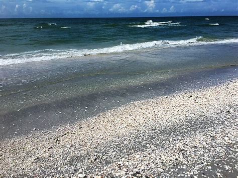 The Search for Sanibel Island Shells - Two Traveling Texans