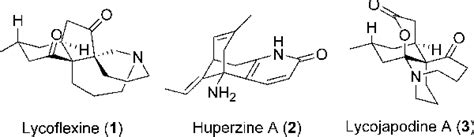 Synthesis Of The Lycopodium Alkaloid Lycoflexine Semantic Scholar