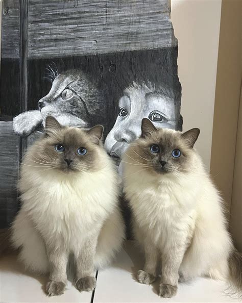 Valentina - Sono poche le cose che possono salvarti la vita: L’amore