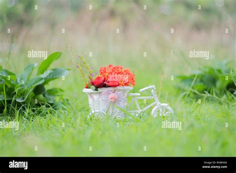 Flower delivery bike Stock Photo - Alamy