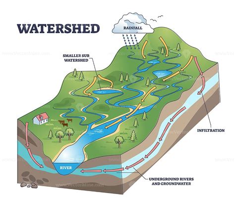 Watershed as water basin system with mountain river streams outline diagram - VectorMine