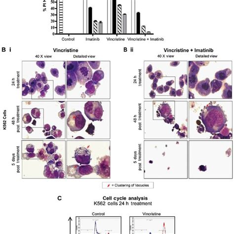 Effects Of Vincristine Alone And In Combination With Imatinib On Cell