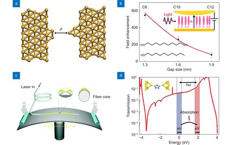 Single Molecule Optoelectronic Devices Physical Mechanism And Beyond