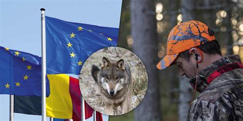 Sex frågor till åtta listettor i EU valet Svensk Jakt