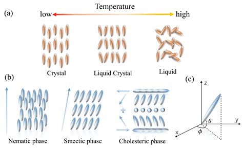 Principle Of Liquid Crystal Biosensors Encyclopedia Mdpi